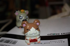 まいどくん