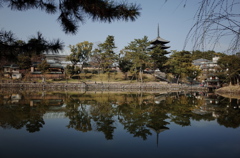 猿沢の池と興福寺五重の塔
