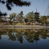 猿沢の池と興福寺五重の塔