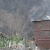 ドラム缶