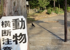 看板に偽り無し