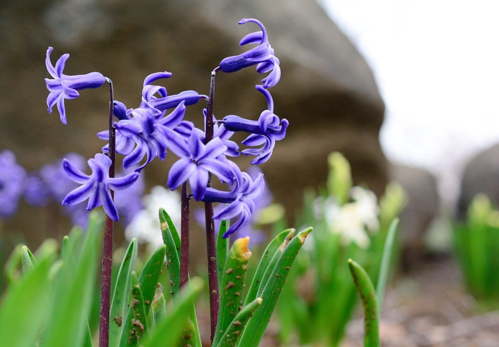 せっかく綺麗だったのに…
