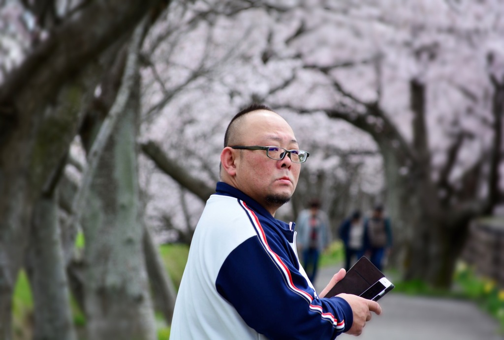 チンピラと桜と携帯電話と