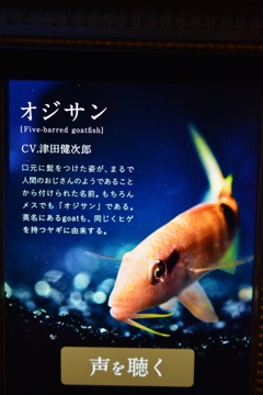 オバサンはいないのか‼︎