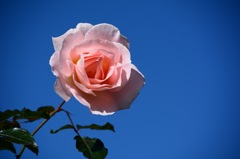 明日のさいたま市は曇りです…