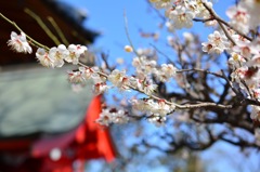 あけましておめでとうございます‼︎