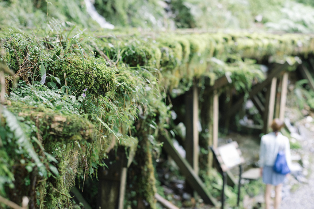Green railway