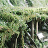 Green railway
