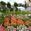 weekend flower market