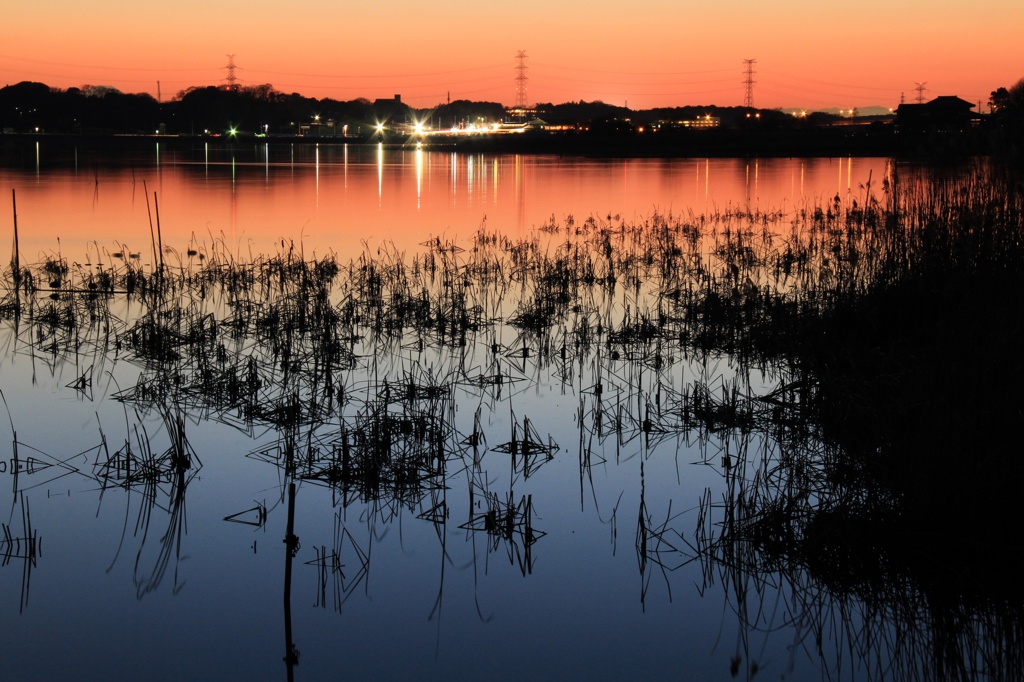 手賀沼夕景-19