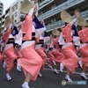 ヤットサー