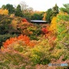 紅葉の東福寺