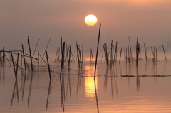 湖上の太陽