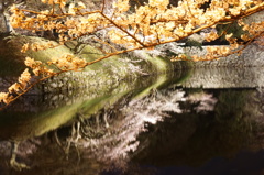 DSC02641