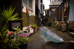 雨は上がった