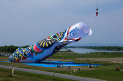 ジャンボ鯉のぼり