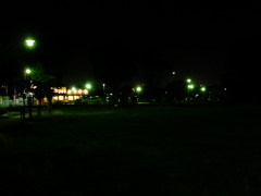 夜の公園