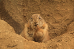 あいつだけ良いな～～