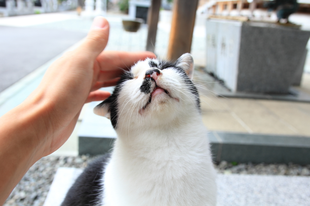 気持ちいい！