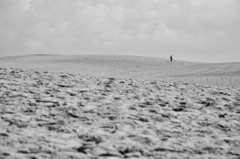 alone