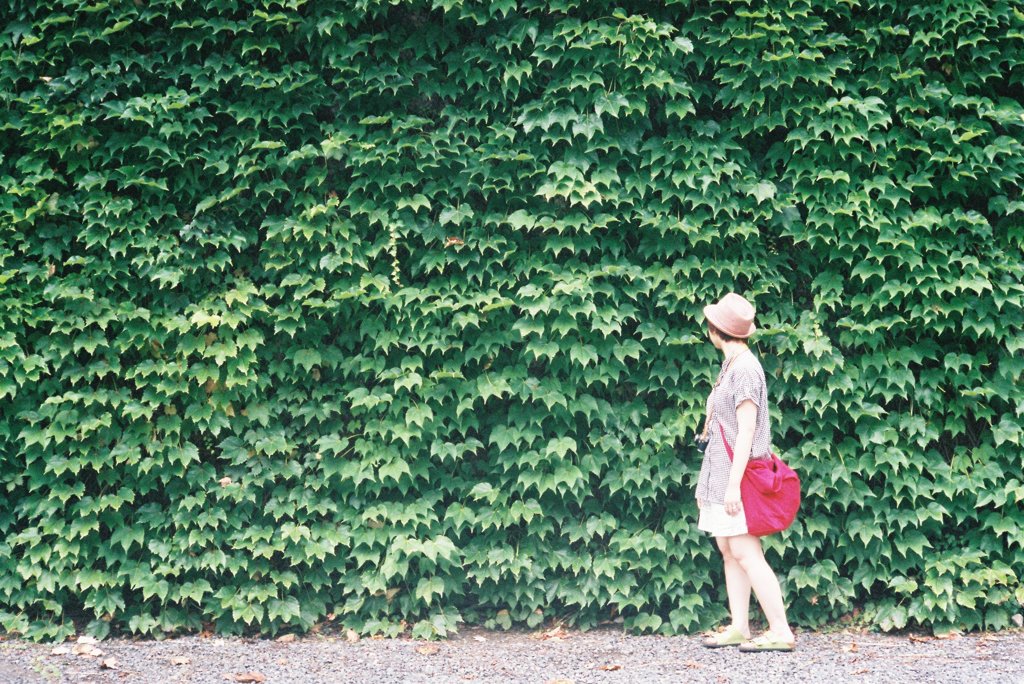 okayama　snap