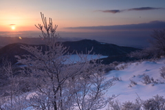 春を待つ