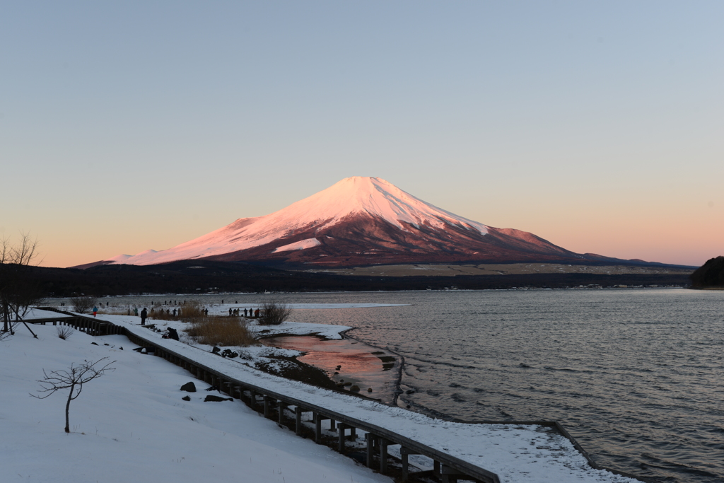 薄紅色の富士山