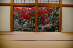 宝徳寺の紅葉