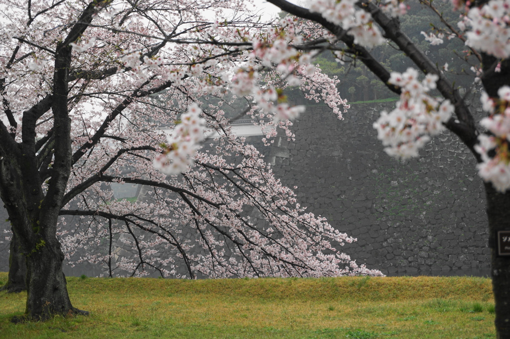 雨の乾通り