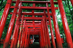 大宮氷川神社