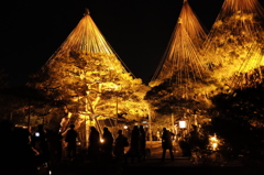 金沢 兼六園ライトアップ