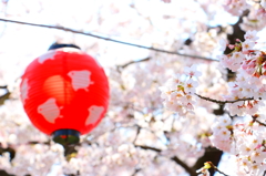 だんごより花