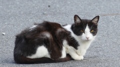 コンビニ前でマッタリ