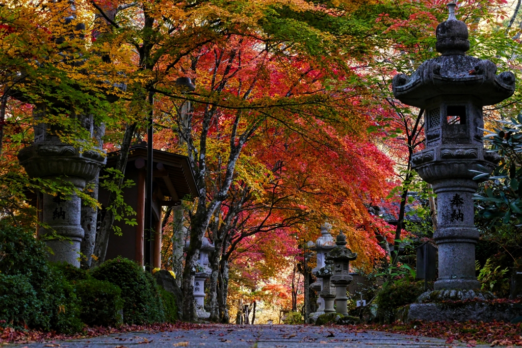 山本不動尊参道