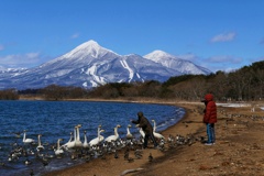 白鳥と磐梯山