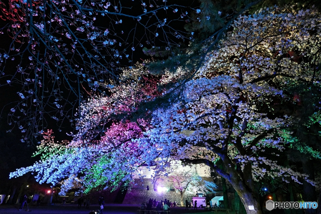 夜の小田原城１１