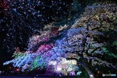 夜の小田原城１１