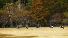 P1150084　奥日光