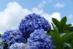 梅雨明けたかな？