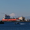 港からの富士山