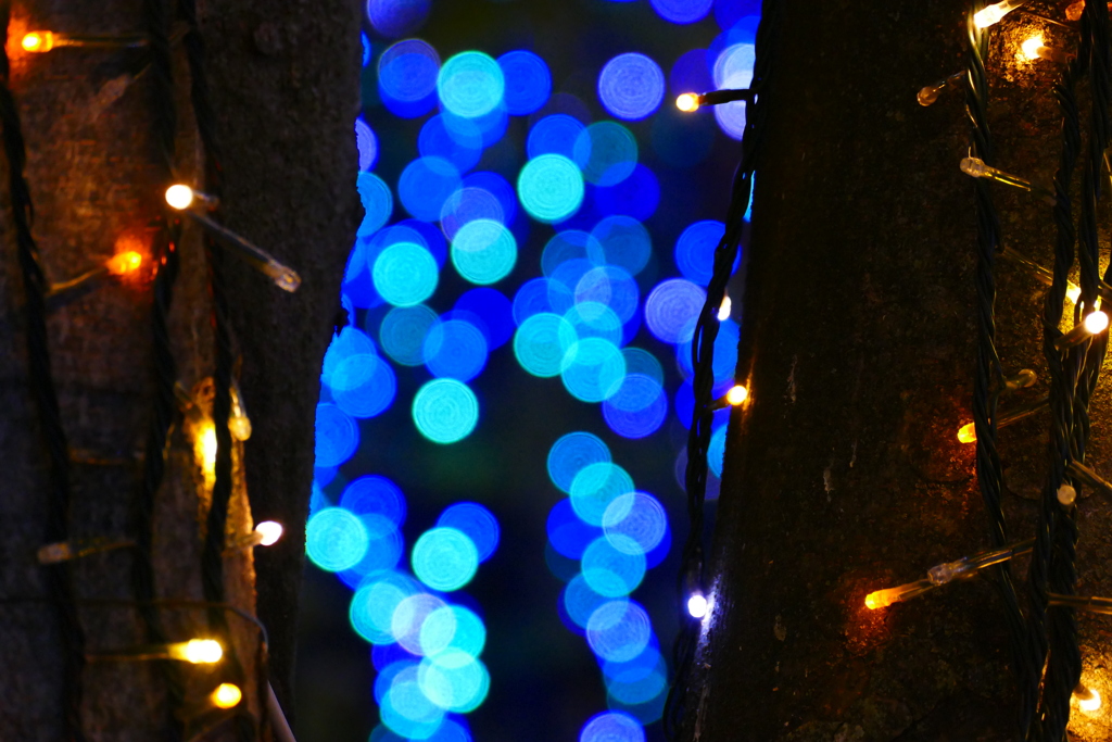 駅前イルミネーション２