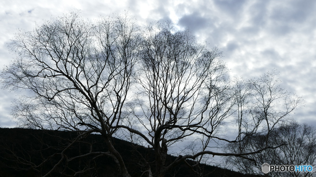 なにやら妖しげ