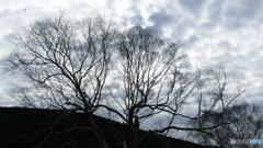 なにやら妖しげ