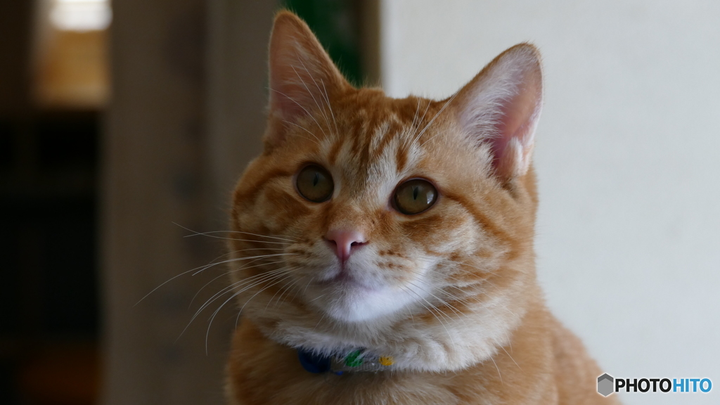 なんか訴えてる(´･_･`)