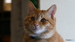 なんか訴えてる(´･_･`)