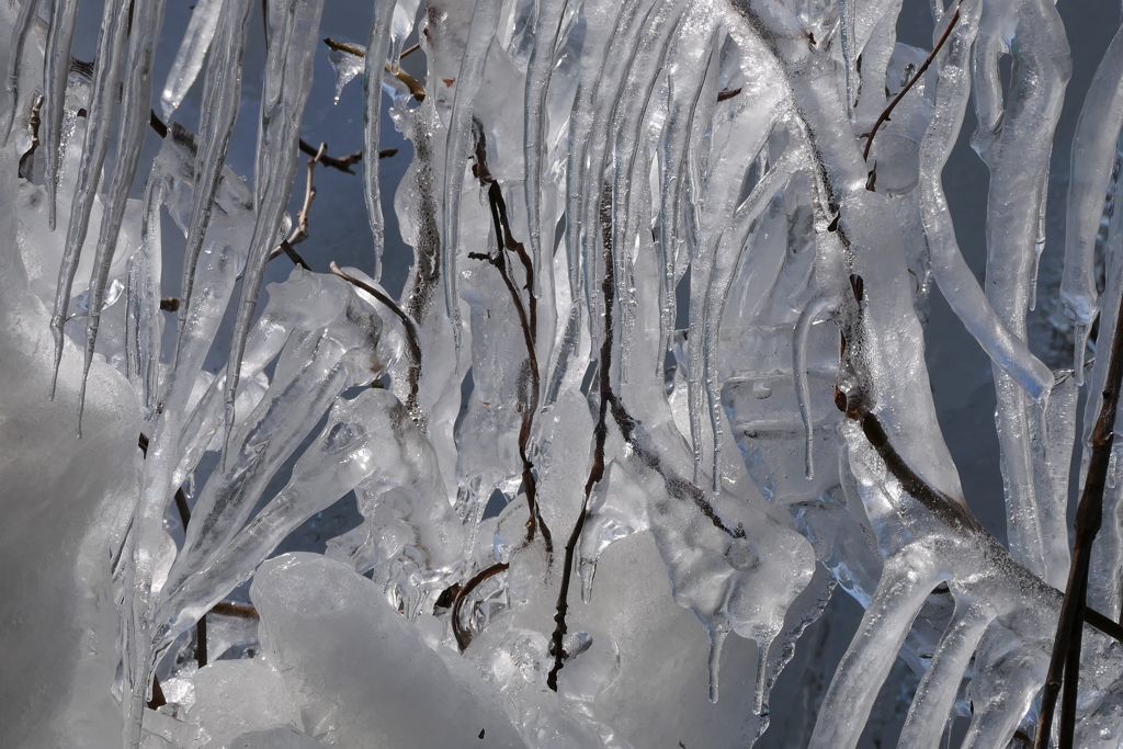 しぶき氷