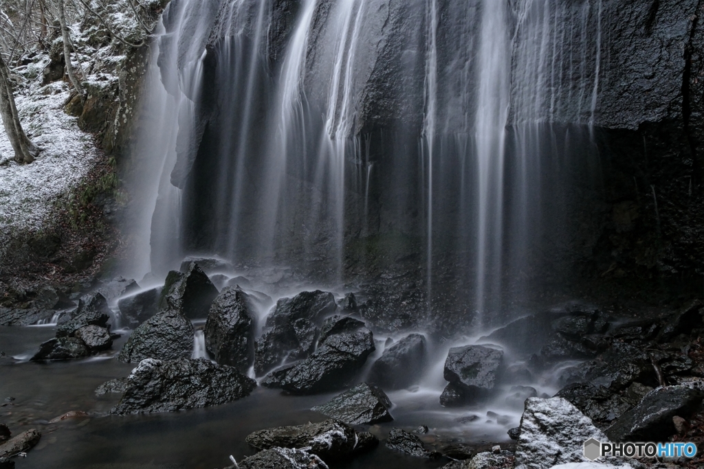 春遅き森の情景１