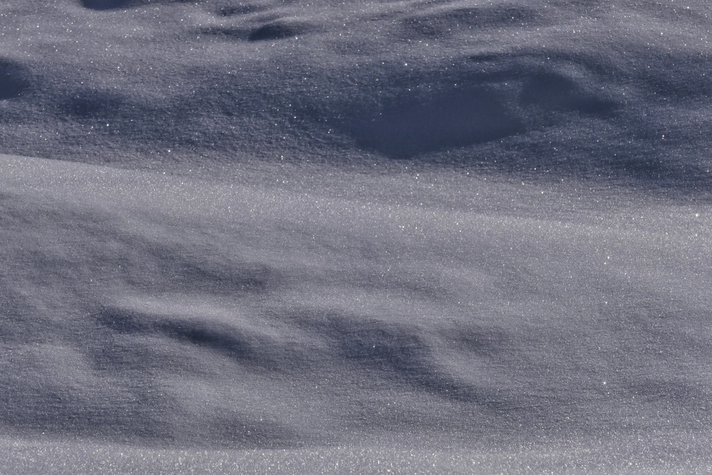 光る雪