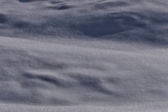 光る雪