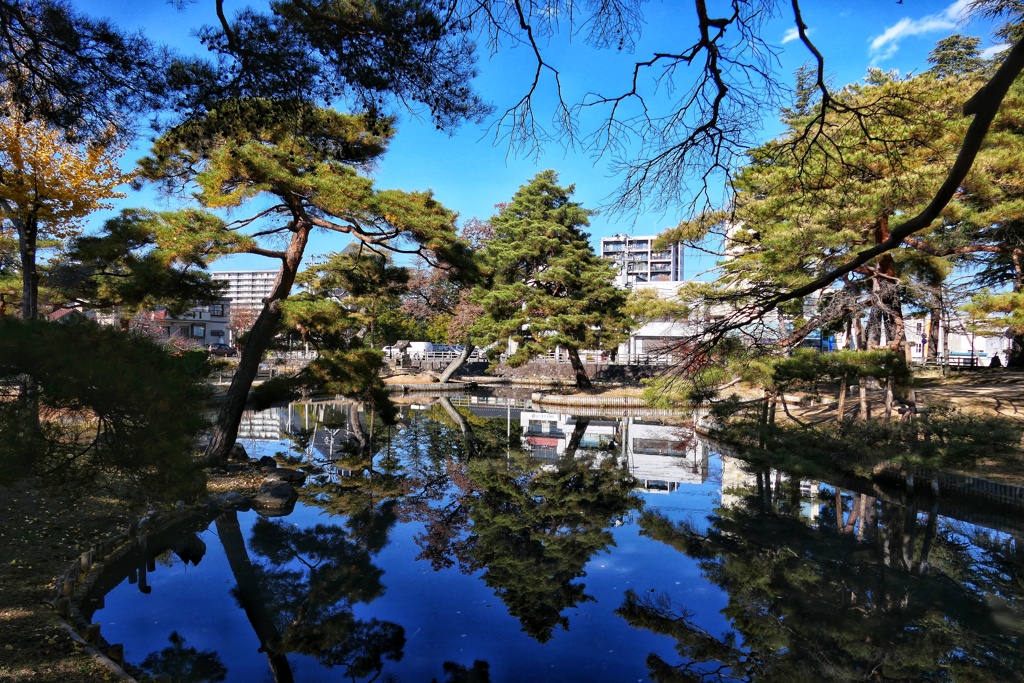 葉山公園